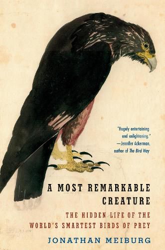 Cover image for A Most Remarkable Creature: The Hidden Life of the World's Smartest Birds of Prey