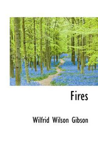 Cover image for Fires