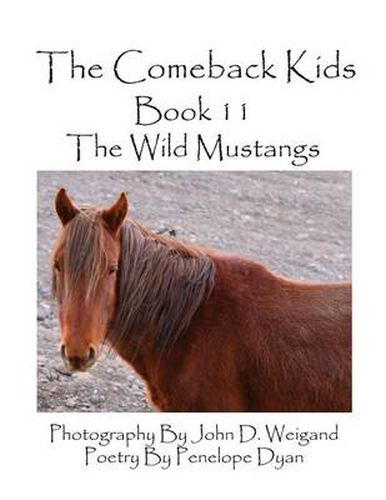 Cover image for The Comeback Kids--Book 11--The Wild Mustangs