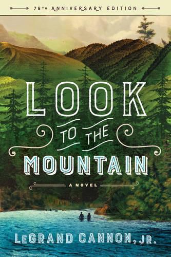 Cover image for Look to the Mountain: A Novel