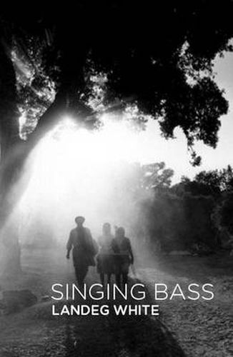 Cover image for Singing Bass