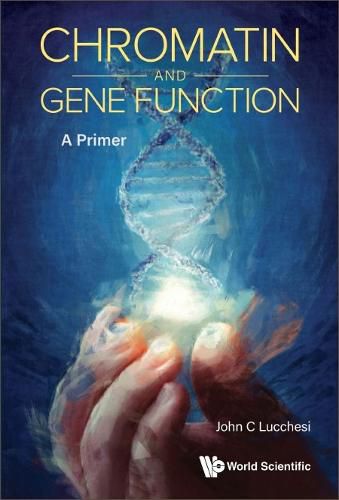 Cover image for Chromatin And Gene Function: A Primer