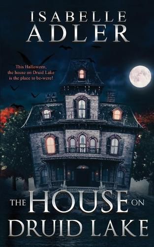 Cover image for The House on Druid Lake