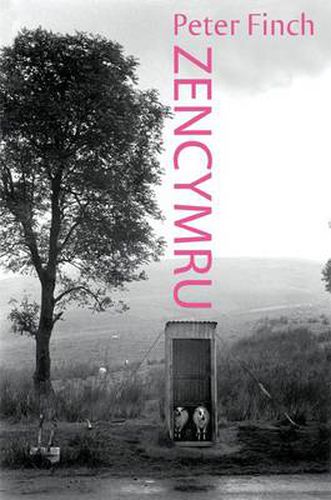 Cover image for Zen Cymru