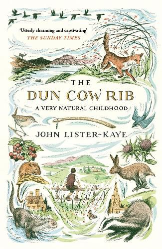 Cover image for The Dun Cow Rib: A Very Natural Childhood