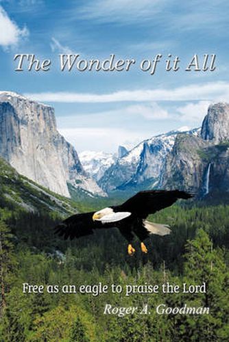 Cover image for The Wonder of it All