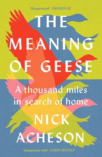 Cover image for The Meaning of Geese