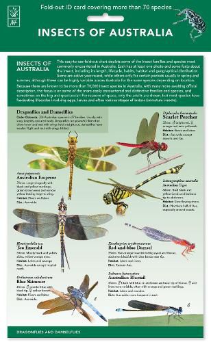 Cover image for Insects of Australia ID Chart