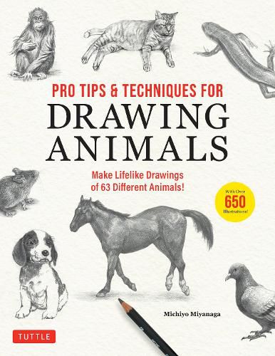Cover image for Pro Tips & Techniques for Drawing Animals: Make Lifelike Drawings of 63 Different Animals! (Over 650 Illustrations)