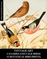 Cover image for Vintage Art: Canaries and Cage Birds 35 Botanical Prints: Ephemera for Framing, Decoupage, and Mixed Media