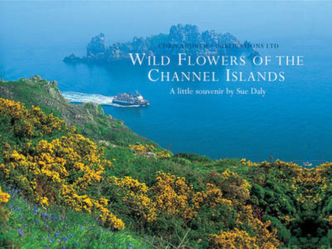 Cover image for Wild Flowers of the Channel Islands Little Souvenir