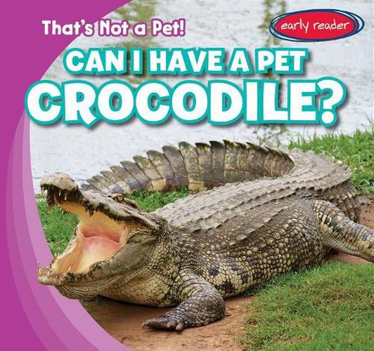 Can I Have a Pet Crocodile?