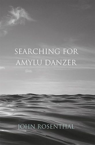 Cover image for Searching for Amylu Danzer