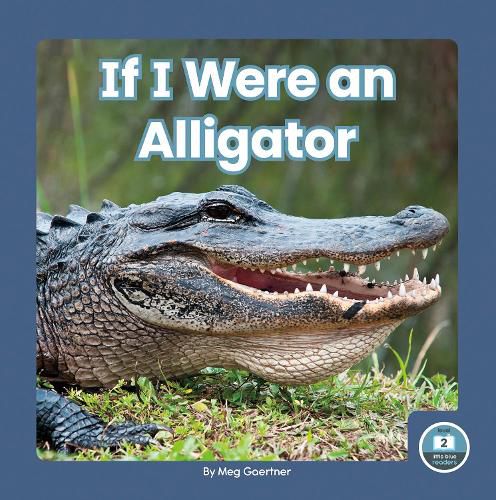 Cover image for If I Were an Alligator