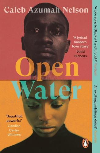 Cover image for Open Water