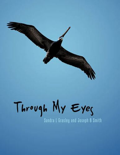 Cover image for Through My Eyes