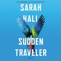 Cover image for Sudden Traveler: Stories