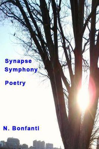 Cover image for Synapse Symphony