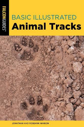 Cover image for Basic Illustrated Animal Tracks