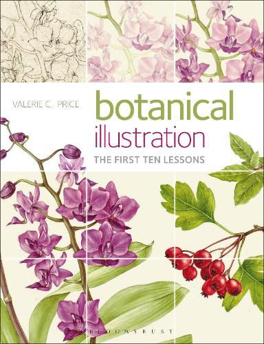 Cover image for Botanical Illustration: The First Ten Lessons