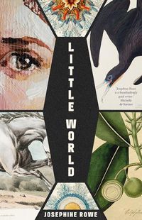 Cover image for Little World