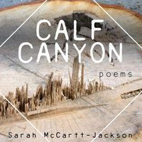 Cover image for Calf Canyon: Poems