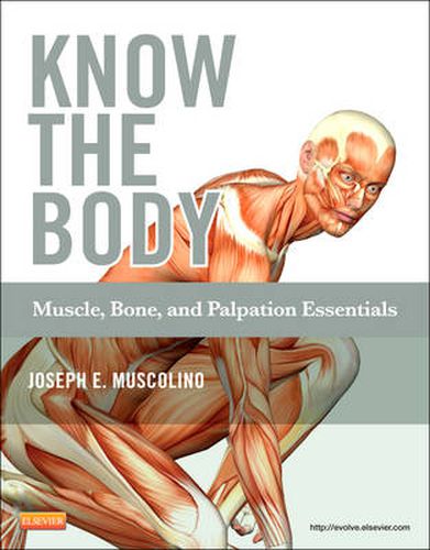 Cover image for Know the Body: Muscle, Bone, and Palpation Essentials