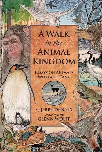 Cover image for A Walk in the Animal Kingdom: Essays on Animals Wild and Tame