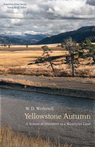 Cover image for Yellowstone Autumn: A Season of Discovery in a Wondrous Land