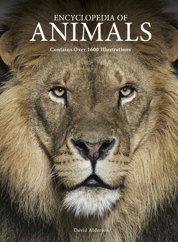 Cover image for Encyclopedia of Animals