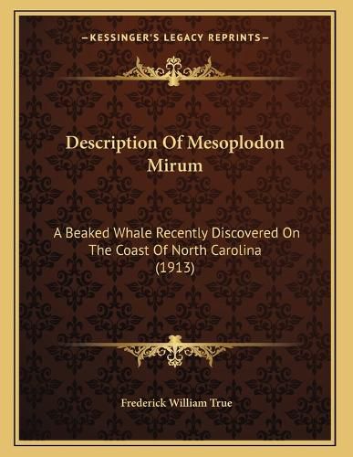 Cover image for Description of Mesoplodon Mirum: A Beaked Whale Recently Discovered on the Coast of North Carolina (1913)