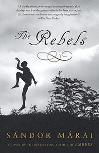 Cover image for The Rebels