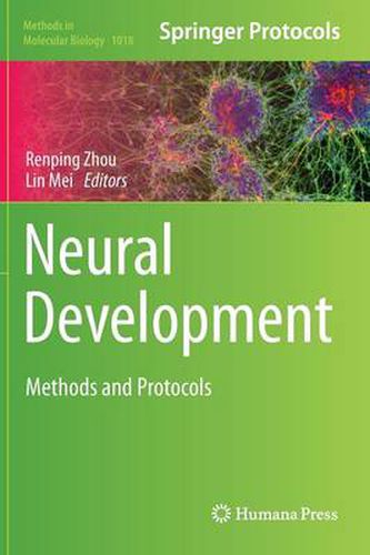 Cover image for Neural Development: Methods and Protocols