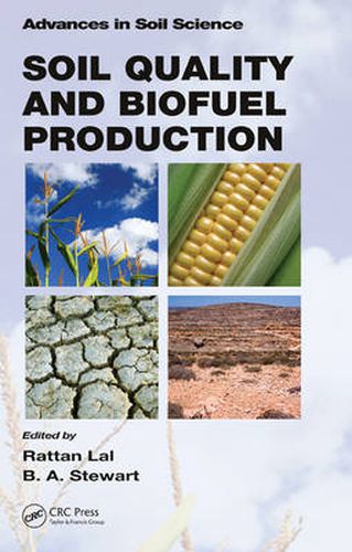 Cover image for Soil Quality and Biofuel Production