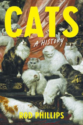 Cover image for Cats