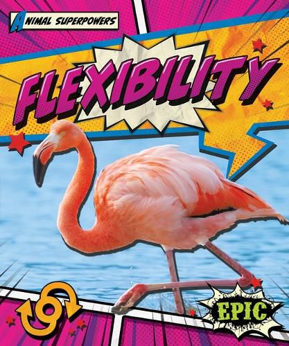 Cover image for Flexibility