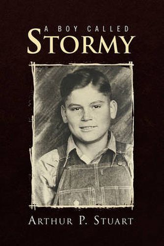 Cover image for A Boy Called Stormy