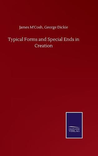 Cover image for Typical Forms and Special Ends in Creation