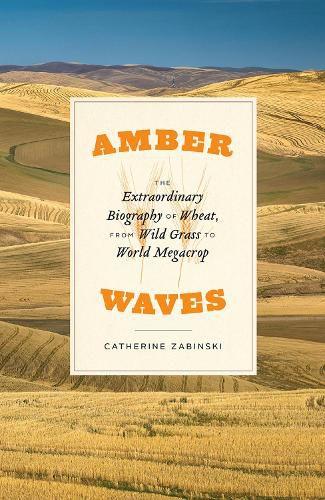 Cover image for Amber Waves: The Extraordinary Biography of Wheat, from Wild Grass to World Megacrop