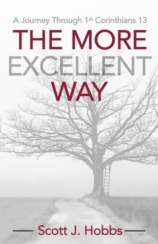 Cover image for The More Excellent Way: A journey through 1st Corinthians 13