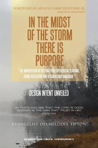 Cover image for In the Midst of the Storm There Is Purpose