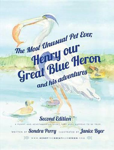 The Most Unusual Pet Ever: Henry, Our Great Blue Heron and His Adventures