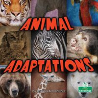 Cover image for Animal Adaptations