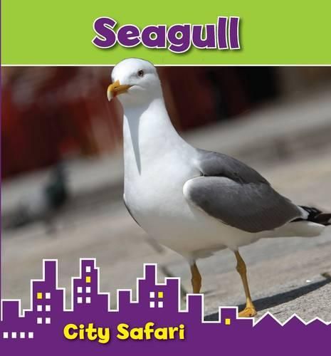 Seagull: City Safari