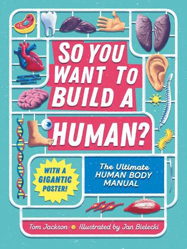 Cover image for So You Want to Build a Human?: The ultimate human body manual