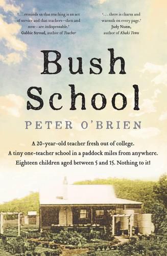 Cover image for Bush School