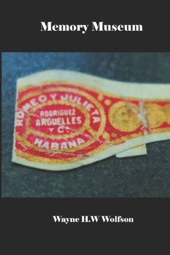 Cover image for Memory Museum