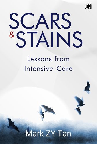Cover image for Scars & Stains