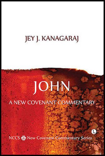 Cover image for John