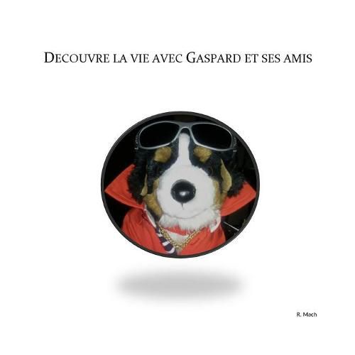 Cover image for DZcouvre la vie avec Gaspard et ses amis
